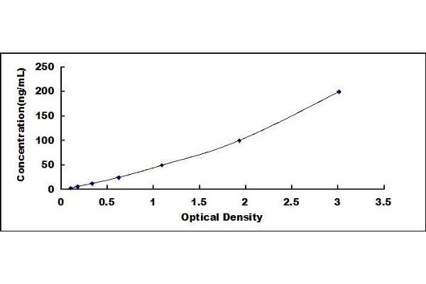 SPARC ELISA Kit