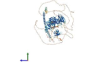 AlphaFold protein structure predicition of Human Recombinant RIMBP2 Protein, UniprotID O15034