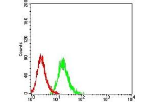 Flow cytometric analysis of HL-60 cells using CD101 mouse mAb (green) and negative control (red). (CD101 antibody  (AA 22-168))
