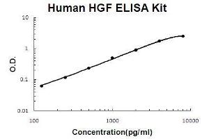 Human HGF PicoKine ELISA Kit standard curve (HGF ELISA Kit)