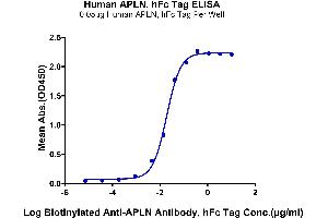 Immobilized Human APLN, hFc Tag at 0. (Apelin Protein (APLN) (AA 23-77) (Fc Tag))