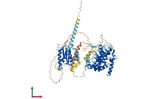 AlphaFold protein structure predicition of Human Recombinant TYW1B Protein, UniprotID Q6NUM6 (TYW1B Protein (AA 1-668) (His tag))