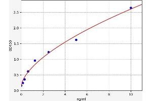 Typical standard curve (Syndecan 1 ELISA Kit)
