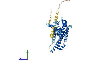 AlphaFold protein structure predicition of Human Recombinant FPR1 Protein, UniprotID P21462