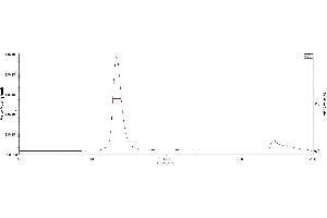 The purity of Biotinylated SARS-CoV-2 S protein, His Tag, Super stable trimer (Cat. (SARS-CoV-2 Spike Protein (Super Stable Trimer) (His tag,AVI tag,Biotin))