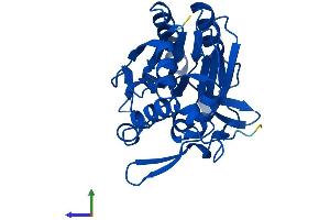 Protein Structure (PS) image for Nitrilase Family, Member 2 (NIT2) (AA 1-276) protein (His tag) (ABIN7549882)
