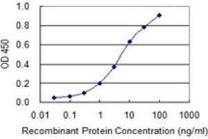 Detection limit for recombinant GST tagged SNAI2 is 0. (SLUG antibody  (AA 97-169))