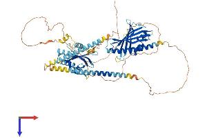 AlphaFold protein structure predicition of Human Recombinant GRAMD1C Protein, UniprotID Q8IYS0 (GRAMD1C Protein (AA 1-662) (His tag))
