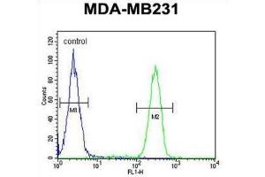 Flow Cytometry (FACS) image for anti-HLA Class I alpha F (HLAF) antibody (ABIN3002479) (HLA-F antibody)