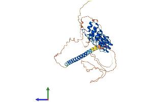 AlphaFold protein structure predicition of Mouse Recombinant Gabpb2 Protein, UniprotID P81069