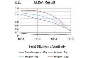 Black line: Control Antigen (100 ng),Purple line: Antigen (10 ng), Blue line: Antigen (50 ng), Red line:Antigen (100 ng) (IDH2 antibody  (AA 1-143))