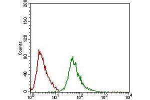 Flow cytometric analysis of Hela cells using Ring1 mouse mAb (green) and negative control (red). (RING1 antibody  (AA 79-263))