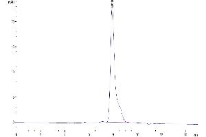 The purity of Human AMIGO2 is greater than 95 % as determined by SEC-HPLC.