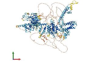 AlphaFold protein structure predicition of Mouse Recombinant Trpm1 Protein, UniprotID Q2TV84