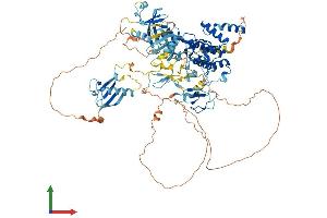 Protein Structure (PS) image for Protein Kinase D2 (PKD2) (AA 1-878) protein (His tag) (ABIN7554351)