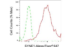 Flow cytometric analysis of SYNE1 expression in HepG2 cells using SYNE1 antibody (ABIN7800419), 1:2,000). (Recombinant SYNE1 antibody)