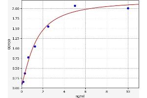 Typical standard curve (HOPX ELISA Kit)
