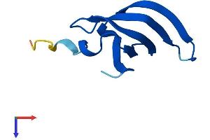 AlphaFold protein structure predicition of Human Recombinant SNRPGP15 Protein, UniprotID A8MWD9