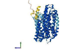 Protein Structure (PS) image for RFT1 Homolog (RFT1) (AA 1-541) protein (His tag) (ABIN7551283)