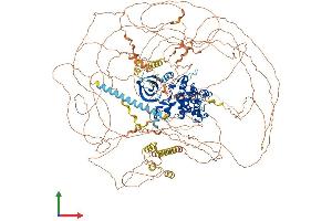 AlphaFold protein structure predicition of Mouse Recombinant Cdk13 Protein, UniprotID Q69ZA1
