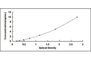 Typical standard curve (PRM2 ELISA Kit)