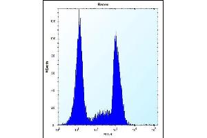 OR10G9 Antibody (C-term) (ABIN656933 and ABIN2846123) flow cytometric analysis of Ramos cells (right histogram) compared to a negative control cell (left histogram). (OR10G9 antibody  (AA 211-239))