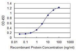 Detection limit for recombinant GST tagged CDKN2D is 0. (CDKN2D antibody  (AA 1-166))
