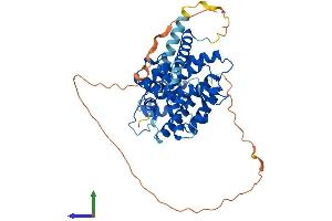 AlphaFold protein structure predicition of Human Recombinant NR1H3 Protein, UniprotID Q13133 (NR1H3 Protein (AA 1-447) (His tag))