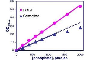 Biochemical Assay (BCA) image for Phosphate Assay Kit (ABIN1000335)