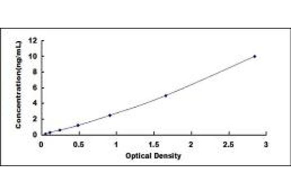 Metabotropic Glutamate Receptor 1 ELISA Kit