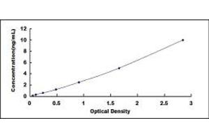 Typical standard curve (Metabotropic Glutamate Receptor 1 ELISA Kit)