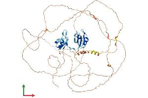 Protein Structure (PS) image for RNA Binding Motif Protein 14 (RBM14) (AA 1-669) protein (His tag) (ABIN7559117)