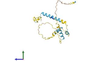 AlphaFold protein structure predicition of Human Recombinant FAM228A Protein, UniprotID Q86W67 (FAM228A Protein (AA 1-206) (His tag))