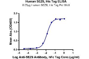 Immobilized Human SEZ6, His Tag at 0. (SEZ6 Protein (AA 20-925) (His tag))