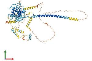 AlphaFold protein structure predicition of Human Recombinant FAM227A Protein, UniprotID F5H4B4 (LOC646851 Protein (AA 1-570) (His tag))