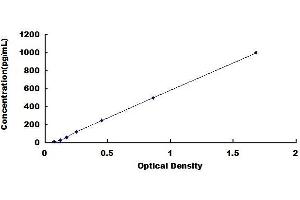 Typical standard curve (IFNB1 ELISA Kit)