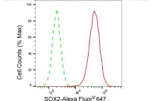 Flow cytometric analysis of SOX2 expression in HAP-1 cells using SOX2 antibody (ABIN7800432), 1:2,000).