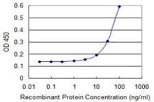Detection limit for recombinant GST tagged CDK4 is 3 ng/ml as a capture antibody. (CDK4 antibody  (AA 1-303))