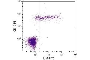 Human peripheral blood lymphocytes were stained with Mouse Anti-Human IgM-FITC. (Mouse anti-Human IgM Antibody (FITC))