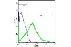 Flow Cytometry (FACS) image for anti-Bradykinin Receptor B2 (BDKRB2) (AA 51-150) antibody (ABIN740040)