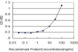 Detection limit for recombinant GST tagged TRAF3IP2 is approximately 1ng/ml as a capture antibody. (TRAF3IP2 antibody  (AA 451-565))