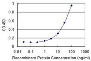 Detection limit for recombinant GST tagged LHX9 is 0. (LHX9 antibody  (AA 1-85))