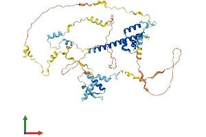 AlphaFold protein structure predicition of Human Recombinant REC8 Protein, UniprotID O95072 (REC8 Protein (AA 1-547) (His tag))