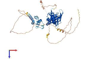 AlphaFold protein structure predicition of Mouse Recombinant Mndal Protein, UniprotID D0QMC3 (Mndal Protein (AA 1-538) (His tag))