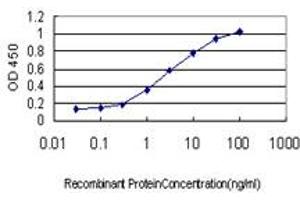 ELISA image for anti-Interferon Regulatory Factor 2 (IRF2) (AA 216-316) antibody (ABIN598766) (IRF2 antibody  (AA 216-316))