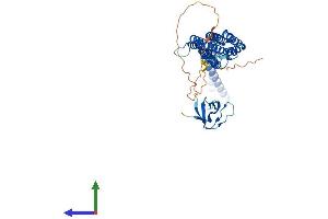 AlphaFold protein structure predicition of Human Recombinant PACSIN3 Protein, UniprotID Q9UKS6 (PACSIN3 Protein (AA 1-424) (His tag))