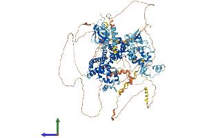 AlphaFold protein structure predicition of Human Recombinant GRID2IP Protein, UniprotID A4D2P6
