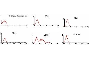 ELISA image for Mouse anti-Rat IgG2c antibody (FITC) (ABIN371239) (Mouse anti-Rat IgG2c Antibody (FITC))