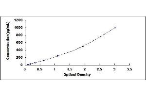 Typical standard curve (EGF ELISA Kit)