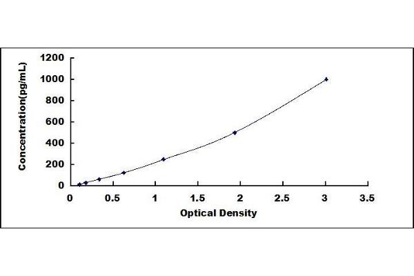 EGF ELISA Kit